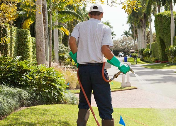 About Riegelwood NC Pest Control